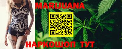 индика Мариинск