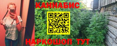 индика Мариинск