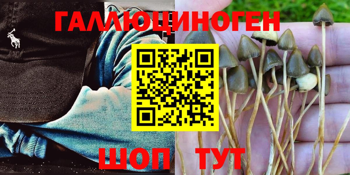Гай  Псилоцибиновые грибы GOLDEN TEACHER  Галлюциногенные грибы ЛСД  Вход с VPN 